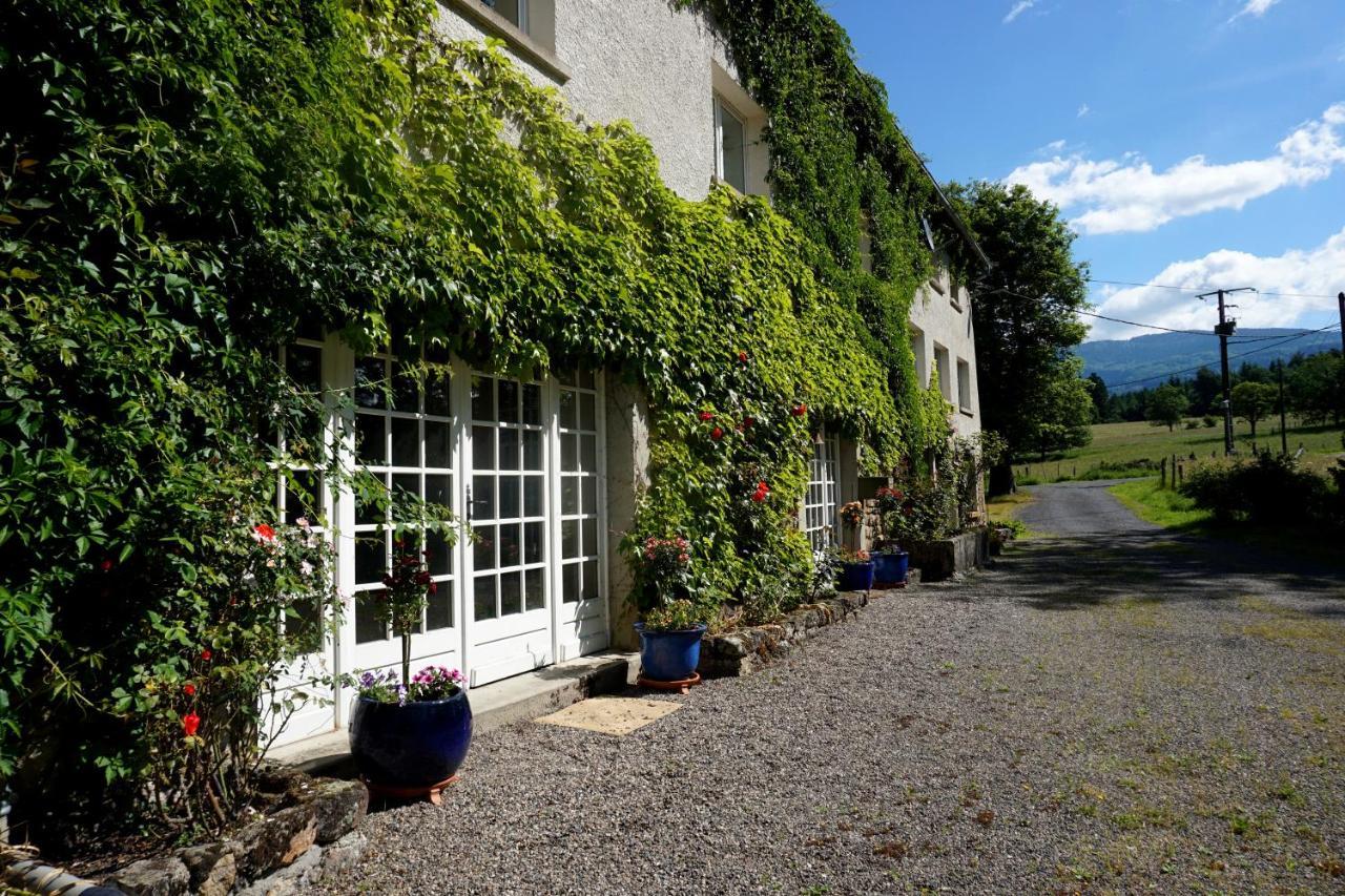 Bed and Breakfast Les Neuf Bouleaux Job Exterior foto