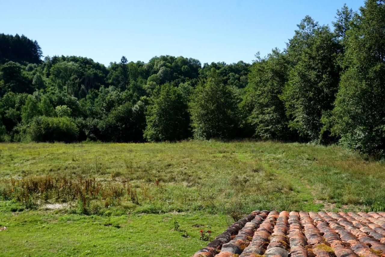 Bed and Breakfast Les Neuf Bouleaux Job Exterior foto